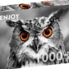 Enjoy : Curious Owl (1000)