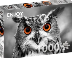 Enjoy : Curious Owl (1000)