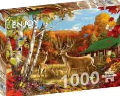 Enjoy : Somewhere in a Field (1000)