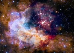 Enjoy : Star Cluster in the Milky Way Galaxy (1000)
