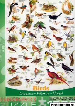 EuroGraphics : Birds (1000)