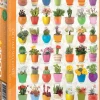 EuroGraphics : Cacti and Succulents (1000)