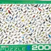 EuroGraphics : David Sibley - The World of Birds (2000)
