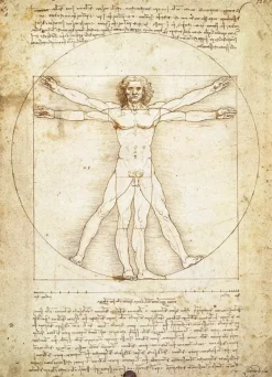 EuroGraphics : Da Vinci - The Vitruvian Man (1000)