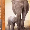 EuroGraphics : Elephant & Baby (1000)