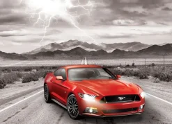 EuroGraphics : Ford Mustang GT - Fifty Years of Power (1000)