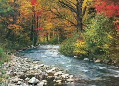 EuroGraphics : Forest Stream (1000)
