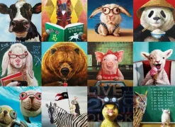 EuroGraphics : Funny Animals (1000)