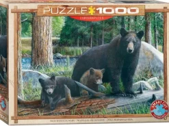 EuroGraphics : New Discoveries (1000)
