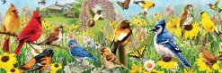 EuroGraphics : Panorama - Garden Birds (1000)