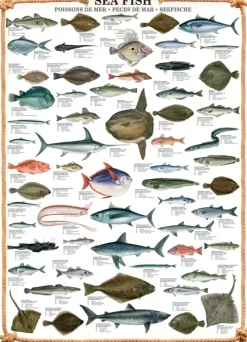 EuroGraphics : Sea Fish (1000)