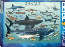 EuroGraphics : Sharks (1000)