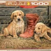 EuroGraphics : Something Old, Something New (1000)