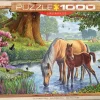 EuroGraphics : Steve Crisp - The Fell Ponies (1000)