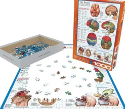 EuroGraphics : The Brain (1000)