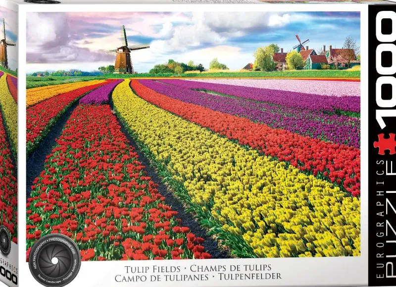 EuroGraphics : Tulip Fields (1000)