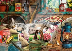 Gibsons : Steve Read - Snoozing in the Shed (1000)