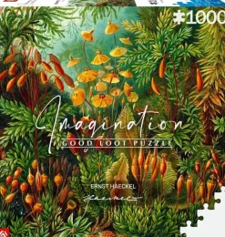 Good Loot : Imagination - Ernst Haeckel, Mucinae (1000)