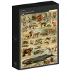 Grafika : Larousse - Mammals II (1000)