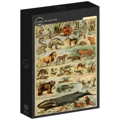 Grafika : Larousse - Mammals II (1000)