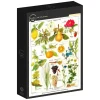 Grafika : Larousse Medical - Astringent and Aperitive Plants (1000)