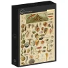 Grafika : Larousse - Molluscs II (1000)