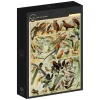 Grafika : Larousse pour Tous - Birds (1000)