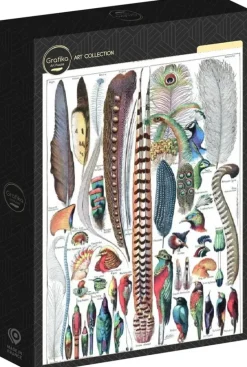 Grafika : Larousse pour Tous - Feathers (1000)