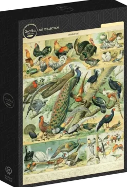 Grafika : Nouveau Larousse - Birds (1000)