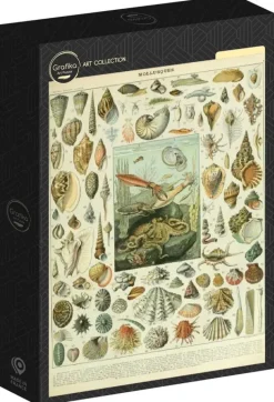 Grafika : Nouveau Larousse - Molluscs (1000)