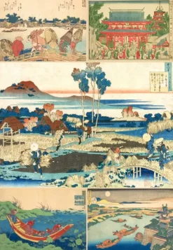 Grafika : The Prints of Hokusai (1000)