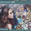 Heye : Companions - Aligned Destiny (1000)