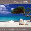 Heye : Panorama - Humboldt, Divi Divi Tree (1000)