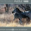 Heye : Panorama - Humboldt, Feeding (1000)