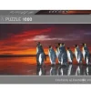 Heye : Panorama - Humboldt, King Penguins (1000)