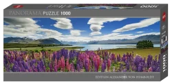 Heye : Panorama - Humboldt, Lake Tekapo (1000)