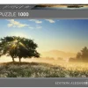 Heye : Panorama - Humboldt, Play of Light (1000)