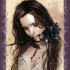 Heye : Victoria Francés - Favole, Dark Rose (1000)