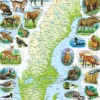 Larsen : Rampussel - Sverigekarta med svenska djur (71)