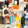 Piatnik : Taste of Gin (1000)