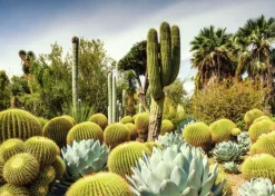 Ravensburger : Beautiful Gardens - The Huntington Desert Garden, California, USA (1000)