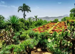 Ravensburger : Beautiful Gardens - Botanical Garden, Madeira (1000)