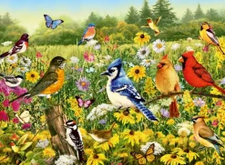 Ravensburger : Birds in the Meadow (500)