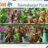Ravensburger : Cats on the Shelf (500)