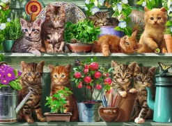 Ravensburger : Cats on the Shelf (500)