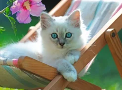 Ravensburger : Deckchair Kitty (200)