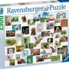 Ravensburger : Funny Animals Collage (1500)