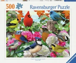 Ravensburger : Garden Birds (500)