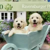 Ravensburger : Golden Retriever (200)