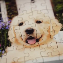 Ravensburger : Golden Retriever (200)